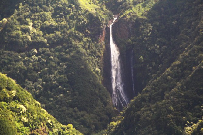 PRIVATE Kauai Airplane Tour - Host Interaction