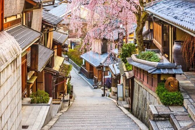 Private Kyoto Tour With Hotel Pickup and Drop off From Osaka - Customer Reviews