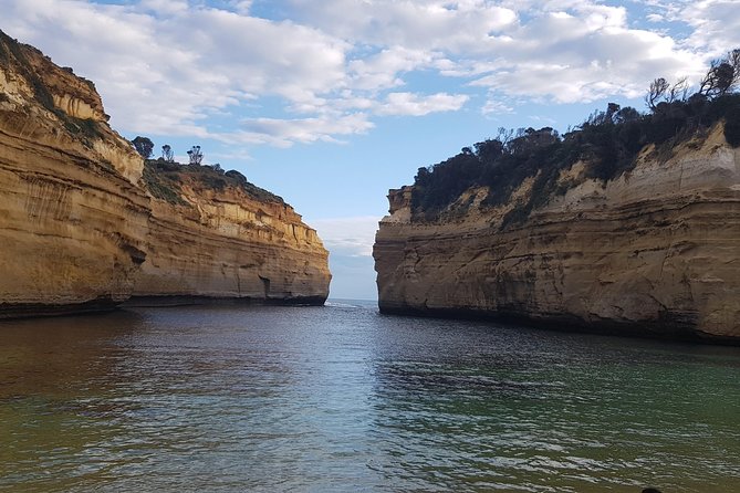 Private Luxury Great Ocean Road 1 Day Tour - up to 11 REVERSE - Expert Guides