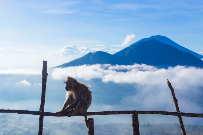 Private Mount Batur Sunrise Trekking Tour - Customer Reviews and Recommendations