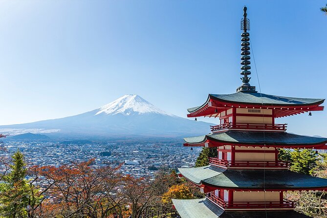 Private Mount Fuji and Hakone City Tour From Tokyo - Guide Details