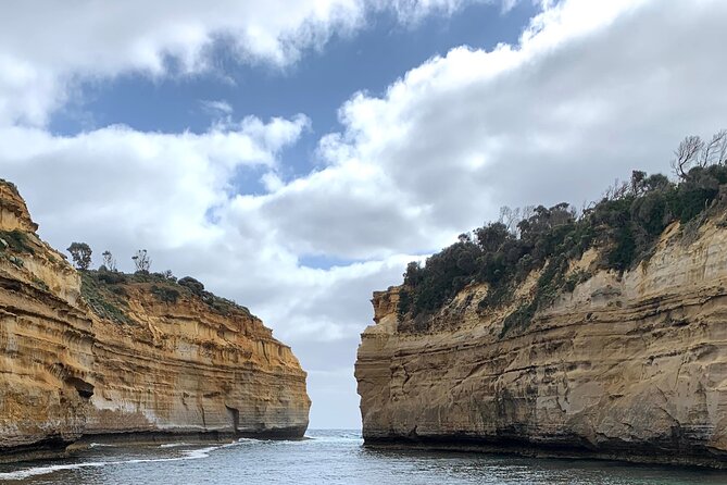 Private Small Group Tour of 2-6pax in Great Ocean Road Melbourne - Review Analysis