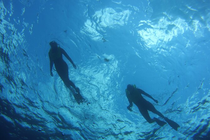 Private Snorkel Charter to the Key Largo Reef for Group up to 10 - Customer Support