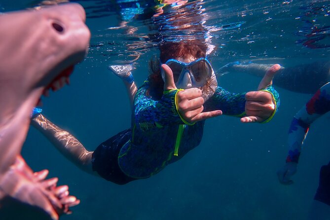 Private South Maui Turtle Town Snorkeling and Kayaking Tour - Booking Policies and Refunds