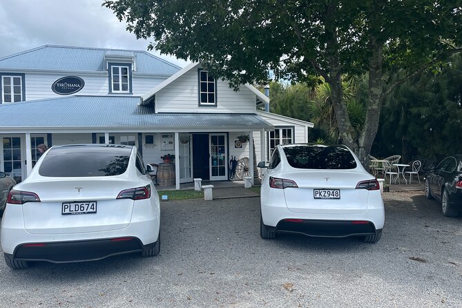 Private Tandem Tesla Tour to Martinborough Vineyards - Vineyard Selection