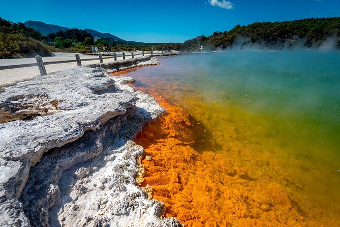 Private Tour [4 Days]: Waitomo Caves, Hobbiton, Rotorua, Hells Gate & Wai-O-Tapu - Accommodation and Meals Information