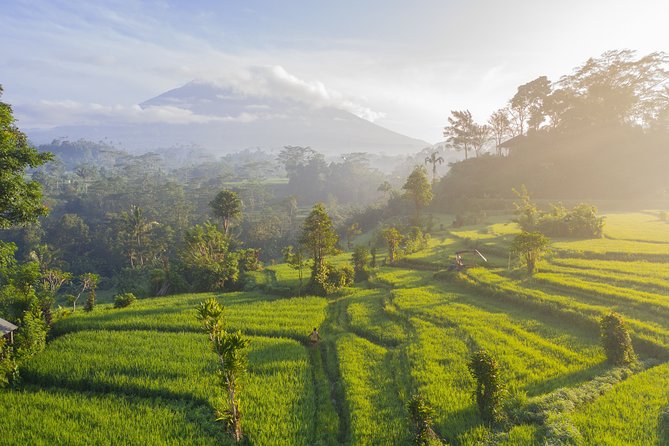 Private Tour: Bali Temple and Countryside Tour - Additional Information