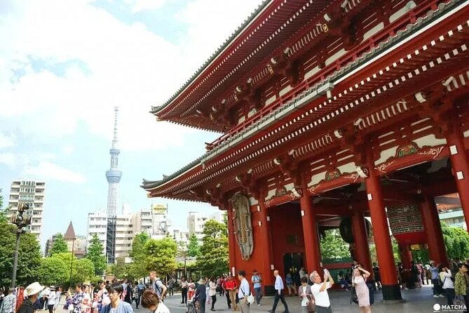 Private Tour by Car in Tokyo - Booking Information