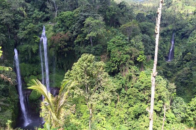 Private Tour: Jatiluwih Rice Terrace,Ulun Danu and Banyu Mala Waterfall Tour - Traveler Assistance