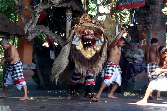 Private Tour : Mt. Batur View, Rice Terrace, Waterfall & More. - Child Policy