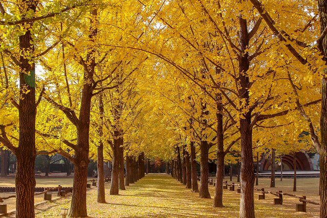 (Private Tour) Nami Island Railbike Garden of Morning Calm - Common questions