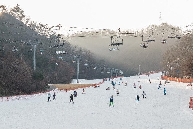 [Private Tour] Nami Island & Ski (Ski Lesson, Equip & Clothing Included) - Terms and Conditions