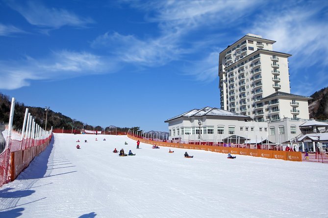 [Private Tour] Nami Island & Snow Viewing and Snow Sled (More Members Less Cost) - Reviews and Ratings Analysis