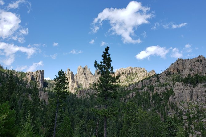 Private Tour of Mount Rushmore, Crazy Horse and Custer State Park - Guide Expertise and Tour Itinerary