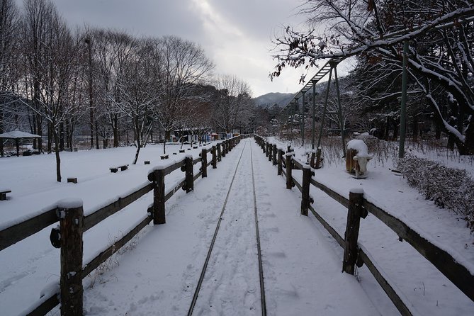 Private Tour Rail Bike & Nami Island & (Petite France or Garden of Morning Calm) - Additional Information