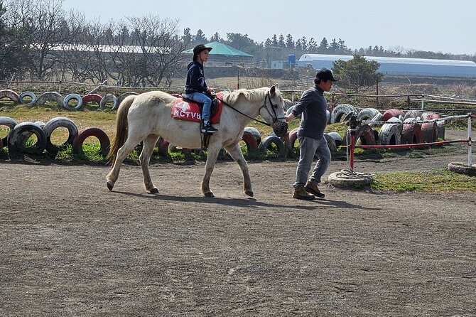 Private Tour South and West Jeju Island With Experienced Driver - Questions and Assistance