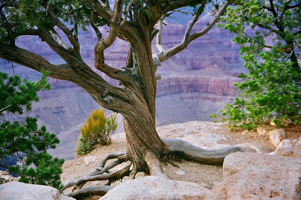 Private Tour to Antelope Canyon X and Horseshoes Bend - Experience and Comfort