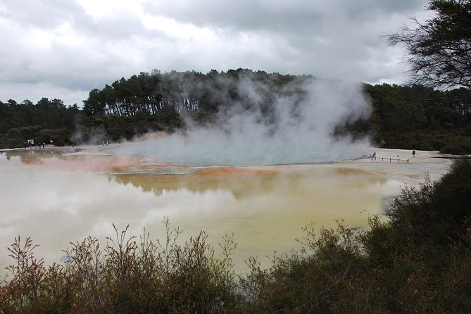 Private Tour Waiotapu Geothermal Shore Excursion up to 8 Passengers - Experienced Local Tour Guides