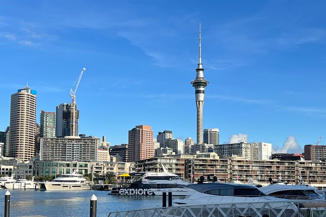 Private Transfer From Auckland City To Auckland Airport - Customer Reviews