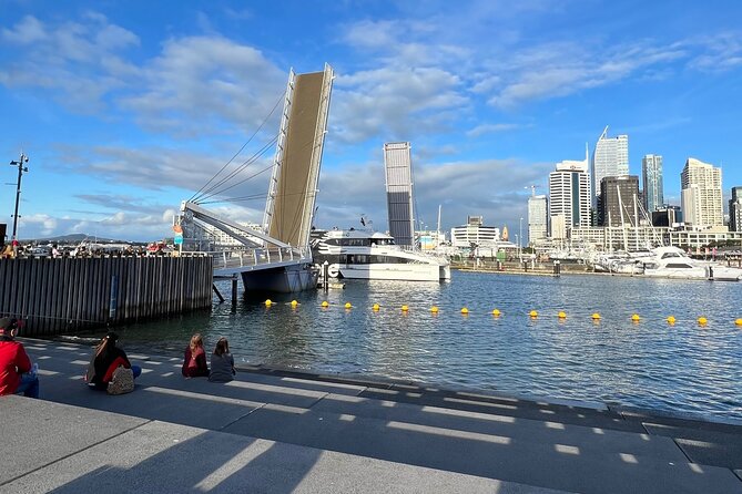 Private Transfer From Auckland Domestic Airport To Auckland City - Booking Process