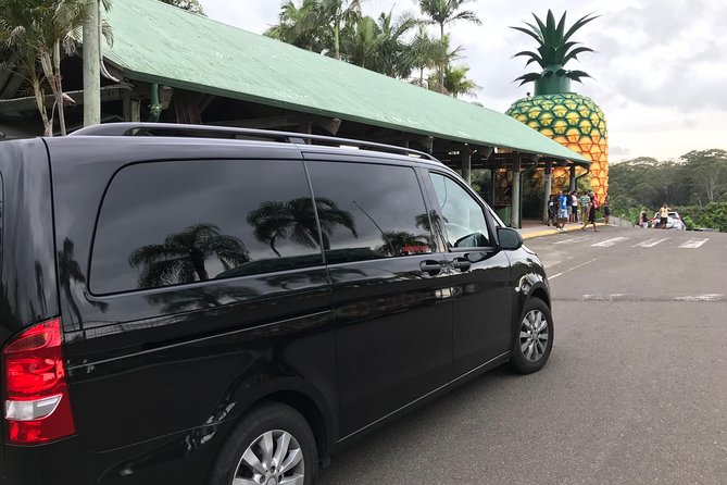 Private Transfer From Sunshine Coast Airport to Noosa 7 Seater Luggage Trailer - Meeting and Pickup