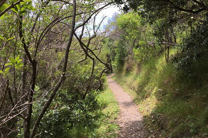 Private Vineyard Bush Walk Tour in Waiheke Island - Booking Information