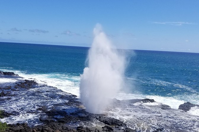 Private Waimea Canyon Tour - Host Interactions