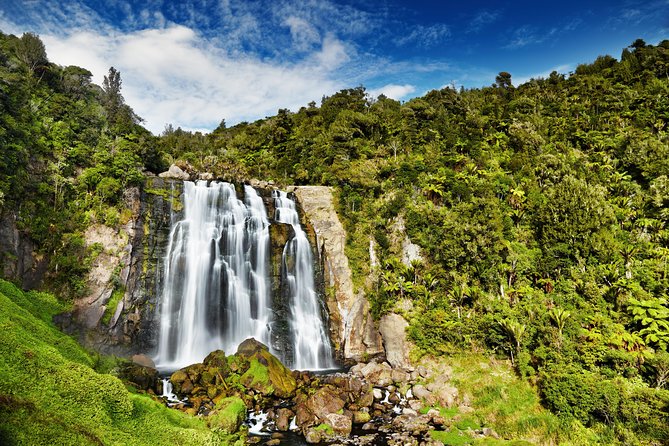 Private Waitomo Caves Tour - Auckland Tour House - Tour Logistics and Starting Time