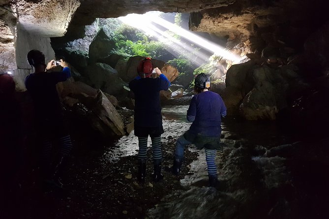 Private Waitomo Glowworm Cave Tours - Booking Policies