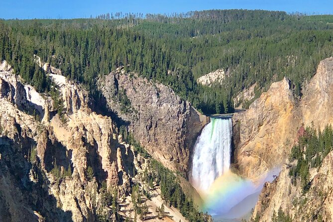 Private Yellowstone Tour: ICONIC Sites, Wildlife, Family Friendly Hikes Lunch - Wildlife Encounters and Viewing Tips
