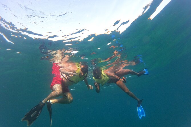 Public Guided Snorkel Tour of Fort Lauderdale Reefs - Tips for Snorkeling Spots