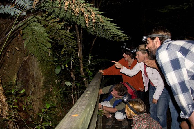 Puketi Rainforest Guided Walks .This Is Not a Shore Excursion Product . - Essential Tour Information to Know