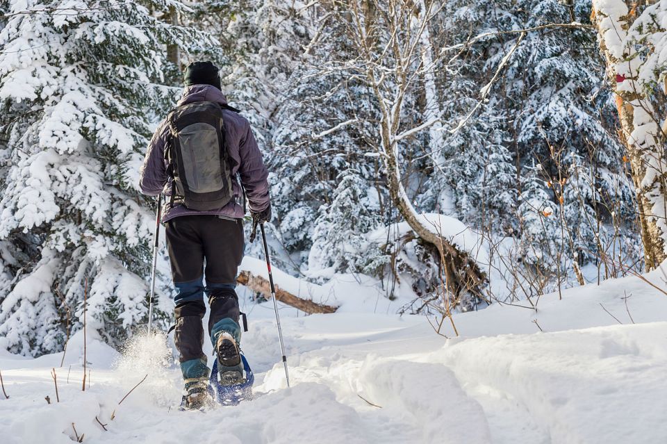 Quebec City: Jacques-Cartier National Park Snowshoeing Tour - Review Summary