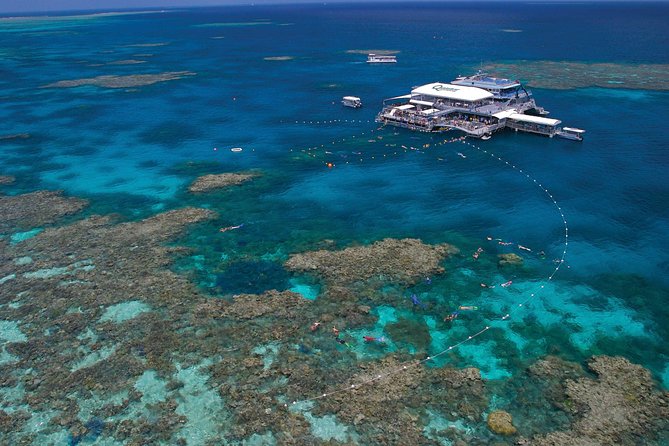 Quicksilver Great Barrier Reef Snorkel Cruise From Port Douglas - Activities and Amenities Onboard