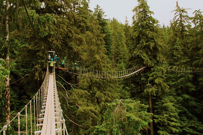 Rainforest Zip, Skybridge & Rappel Adventure in Ketchikan, AK - Sum Up