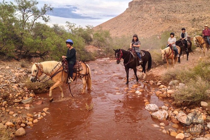 Red Rock Canyon Sunset Horseback Ride and Barbeque Dinner - Customer and Staff Feedback