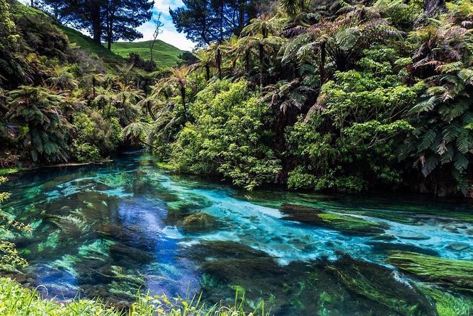 Redwood Forest , Blue Springs & Huka Falls Day Tour From Auckland - Sum Up