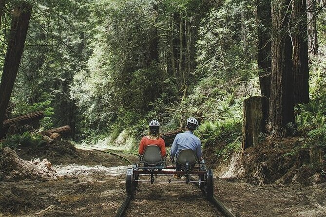 Redwoods Railbike Along Pudding Creek - Family-Friendly Activity