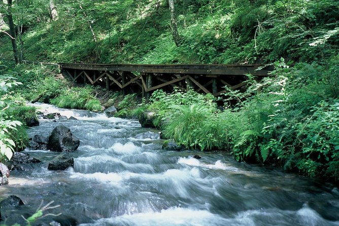 Relax and Refresh in Karuizawa Forest! Shinanoji Down Trekking Around Two People - Minimum Travelers and Refunds