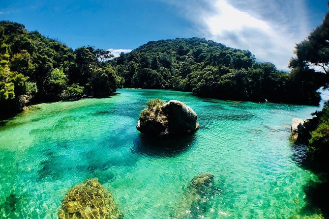 Remote Marine Reserve - Guided Kayaking - New Zealand - Accessibility Information