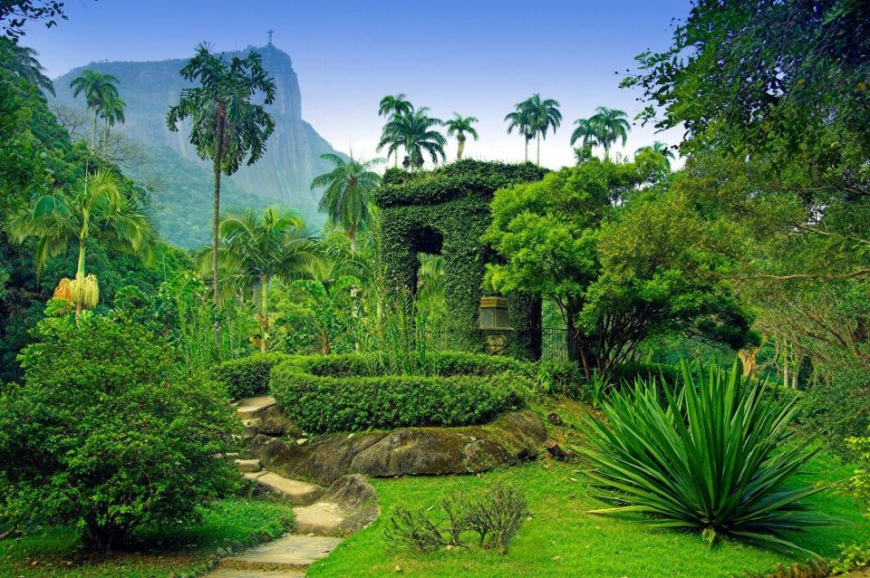 Rio De Janeiro: Botanical Garden Guided Tour & Parque Lage - Review Summary and Visitor Feedback