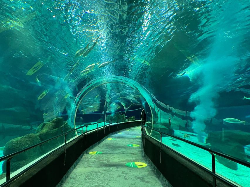 Rio De Janeiro: Marine Aquarium Entry Tickets - Validity & Accessibility Information