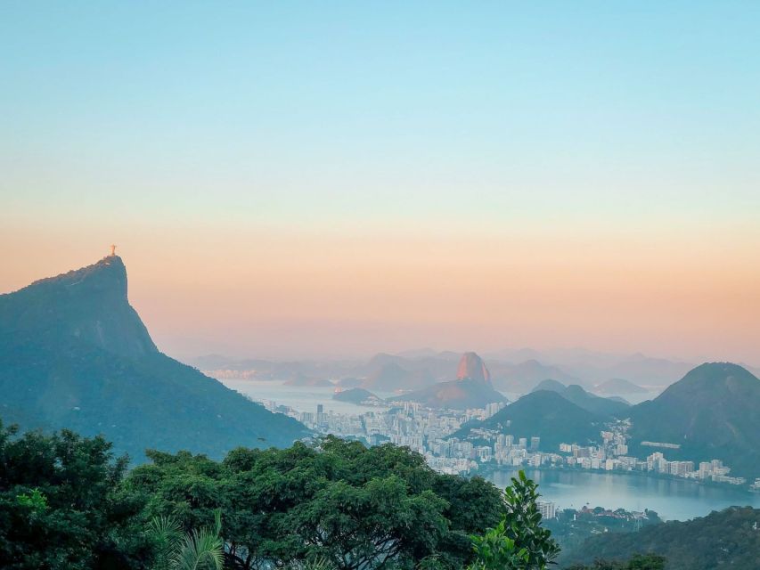Rio De Janeiro: Strolling in Tijuca Forest - Tour Highlights