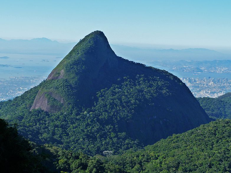 Rio De Janeiro: Tijuca Peak Guided Hike - Guide and Transportation Ratings