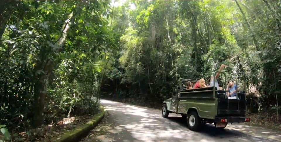 Rio: Jeep Tour to Botanical Garden and Tijuca Forest - Additional Information