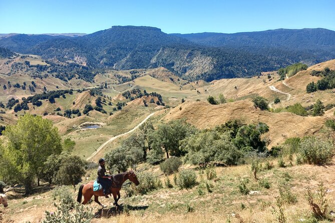 River Valley Stables - Burn The Breeze, Half Day Horse Ride For Riders - Meeting Point and Logistics