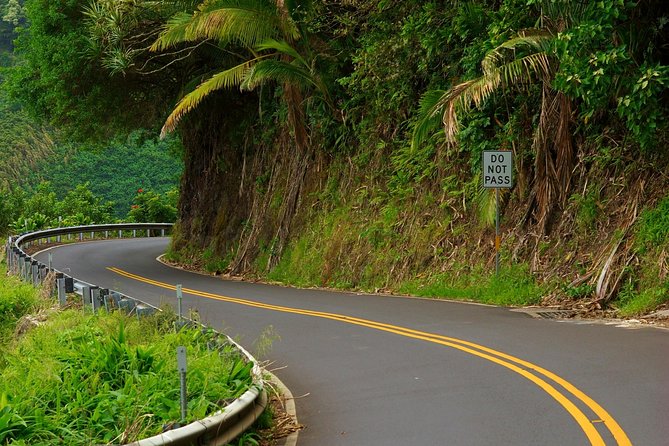 Road to Hana Adventure - Best Tour on Maui - Reviews and Feedback