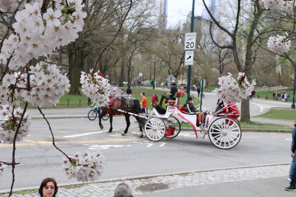 Romantic/Proposal Central Park Carriage Tour Up to 4 Adults - Important Details