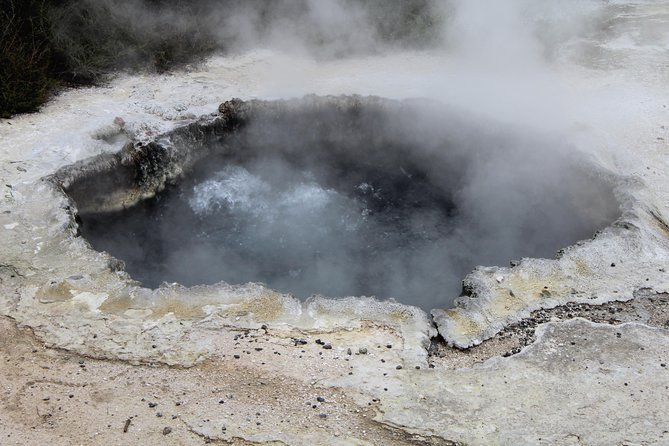 Rotorua and Waitomo Caves Day Trip From Auckland -Smaller Groups - Tour Experience