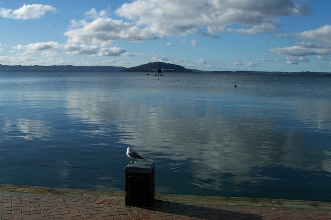 Rotorua Discovery Te Puia Tour - Booking Information